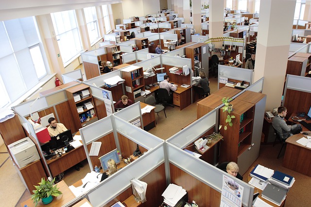 High Performance Culture