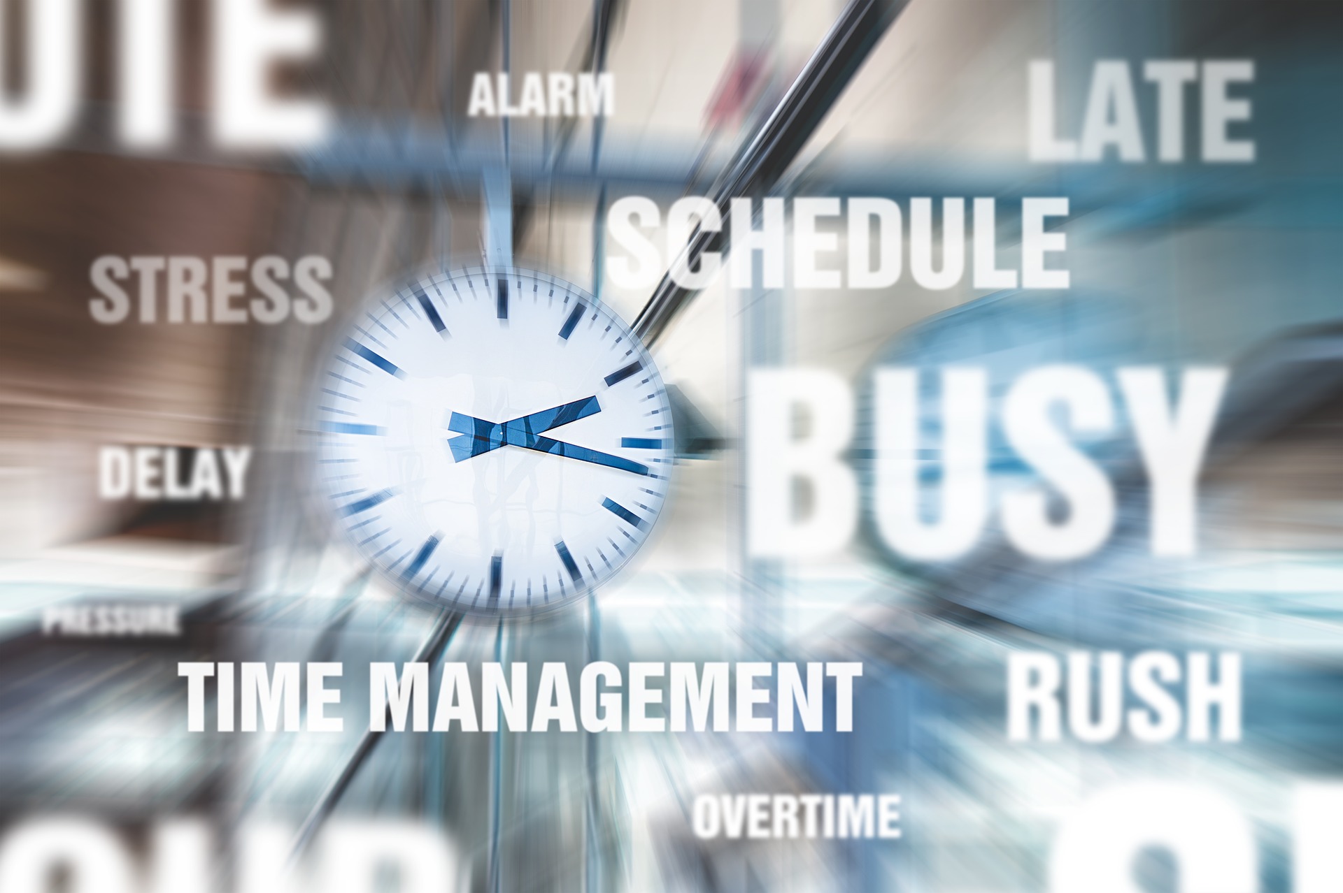 What are the features of project management?