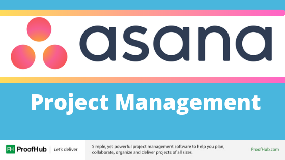 Asana Project Management
