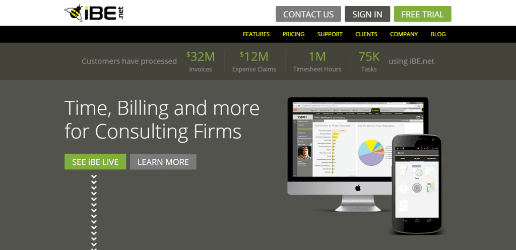 ibe.net as top business management software