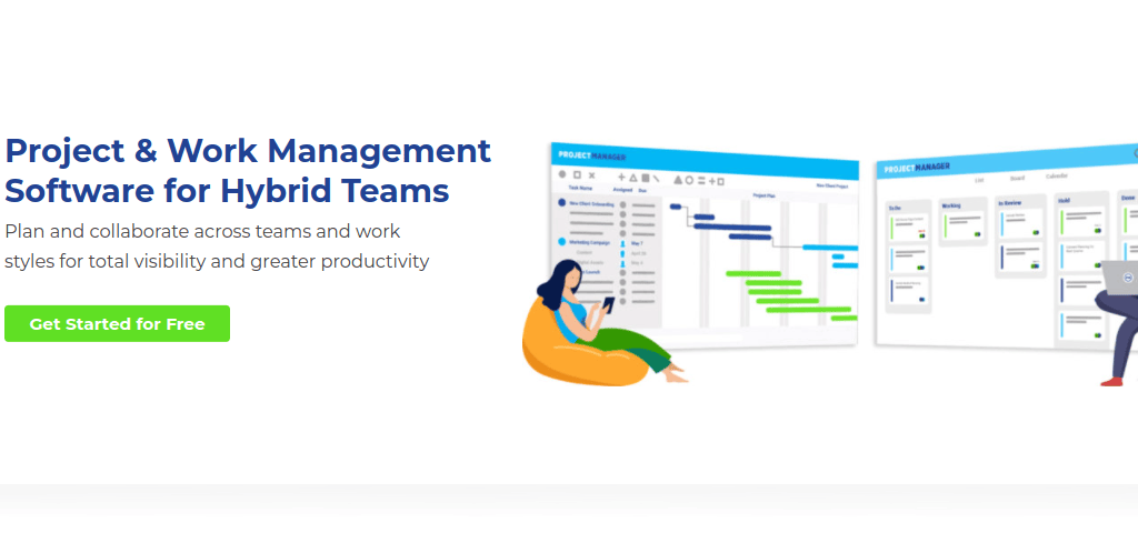 Project manager as pm tool