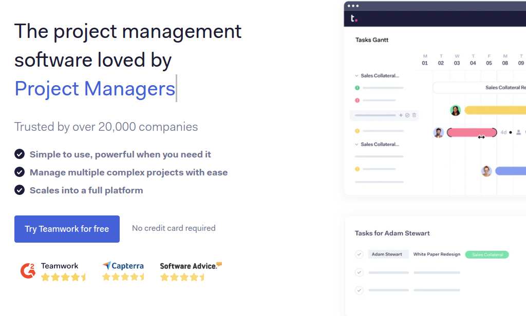 Teamwork: microsoft projects alternative