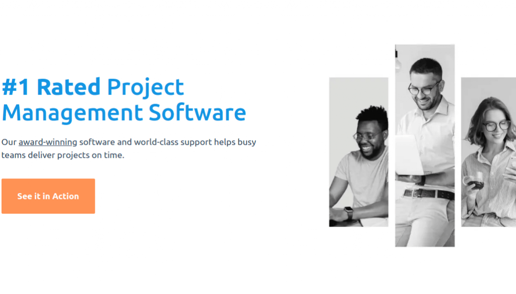 Workzone is a also a project management tool